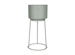 Ambia Home…