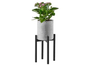 Ambia Home…