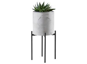 Ambia Home…