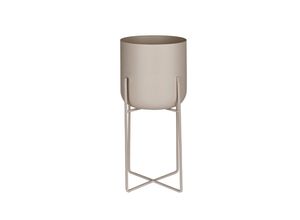 Ambia Home…