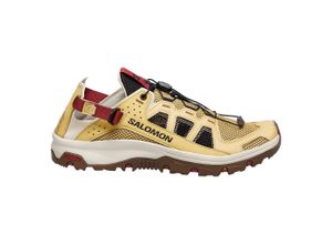 Salomon…