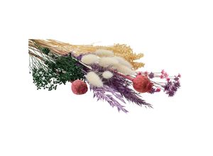 Trockenblumen-S…