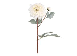 Chic Antique Fleur Dahlien, L48 cm, creme