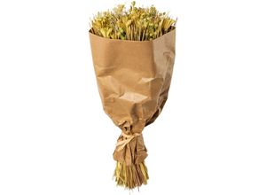 Trockenblume…