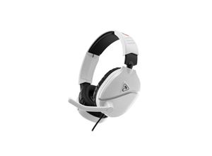 Turtle Beach…