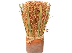 Trockenblume…