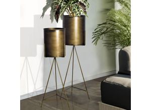 Blumentopf…