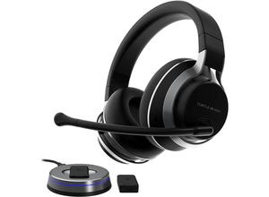 Turtle Beach…