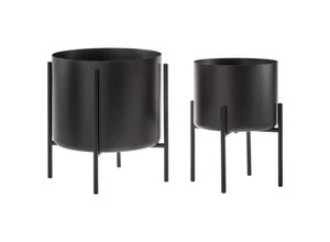 Ambia Home…