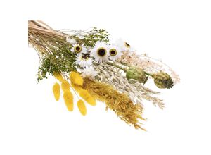 Trockenblumen-S…