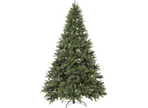 Tannenbaum,…
