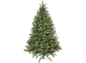 Tannenbaum, 506…