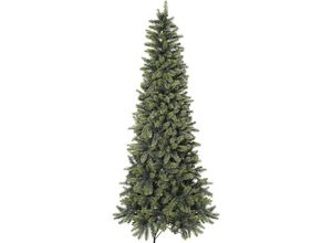 Tannenbaum…