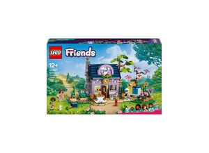 LEGO Friends…