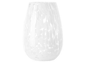 Ambia Home Vase…