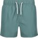Regatta Mawson II Badeshorts Herren grün S 2023
