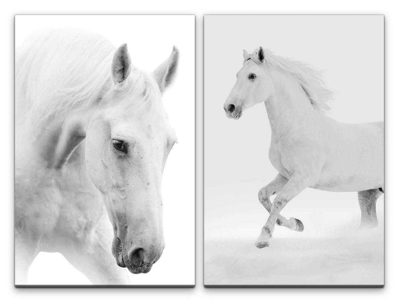 Sinus Art Leinwandbild 2 Bilder je 60x90cm Pferde Weißes Pferd Elegant Reiten Schimmel Freiheit