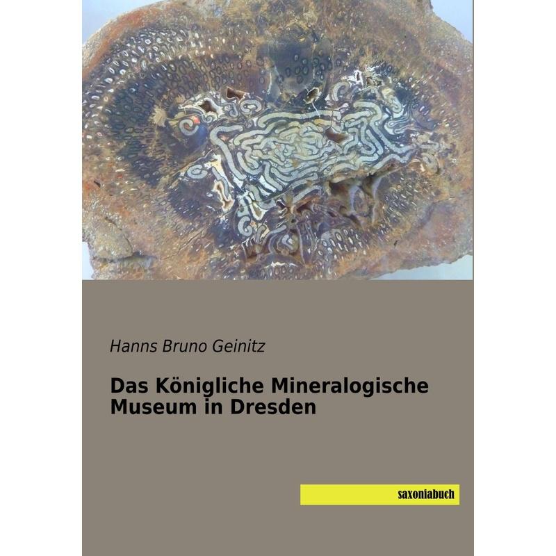 Das Königliche Mineralogische Museum in Dresden - Hanns Bruno Geinitz, Kartoniert (TB)
