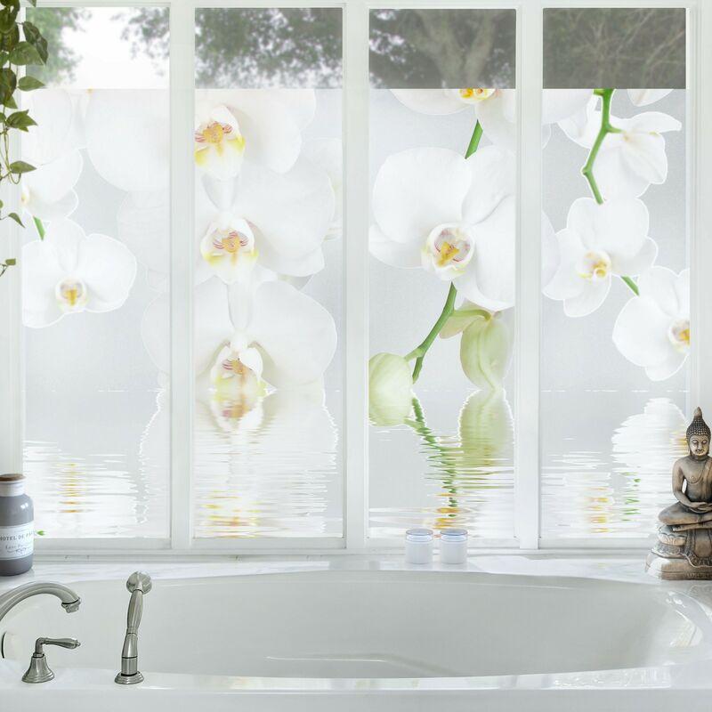 Orchideenbild Fensterfolie - Sichtschutz Fenster Wellness Orchidee - Blumen Fensterbilder Größe HxB: 144cm x 216cm
