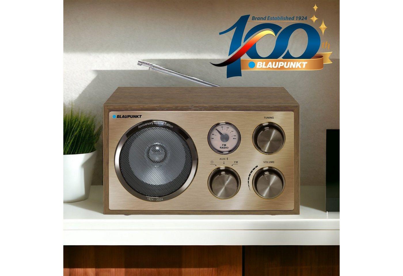 Blaupunkt RXN 180 Retro-Radio (FM-Tuner
