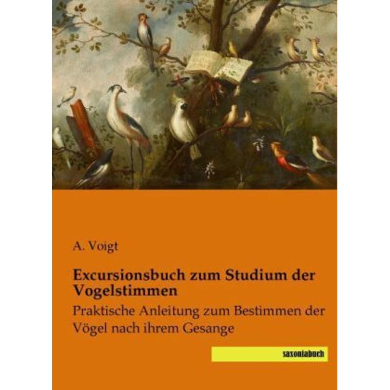 Excursionsbuch zum Studium der Vogelstimmen - A. Voigt, Kartoniert (TB)