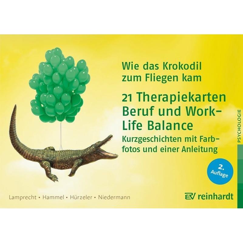 Wie das Krokodil zum Fliegen kam - 21 Therapiekarten: Beruf und Work-Life-Balance - Katharina Lamprecht, Stefan Hammel, Adrian Hürzeler, Martin Niedermann, Box