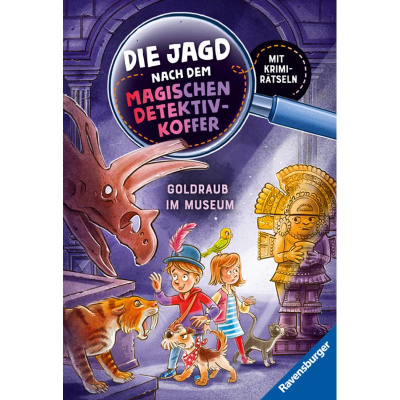 Goldraub im Museum / Die Jagd nach dem magischen Detektivkoffer Bd.5 - Cally Stronk, Gebunden