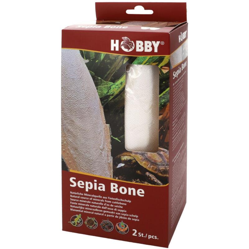 Hobby Sepia Bone Sepiaschale zur Nahrungsergänzung - 2 Stück