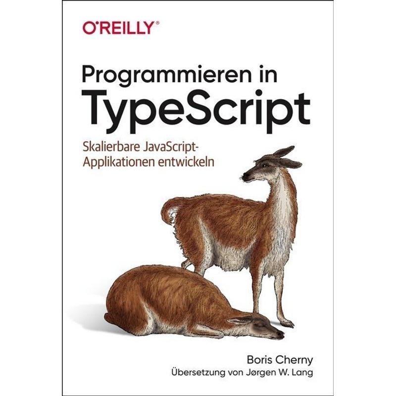 Programmieren in TypeScript - Boris Cherny, Kartoniert (TB)
