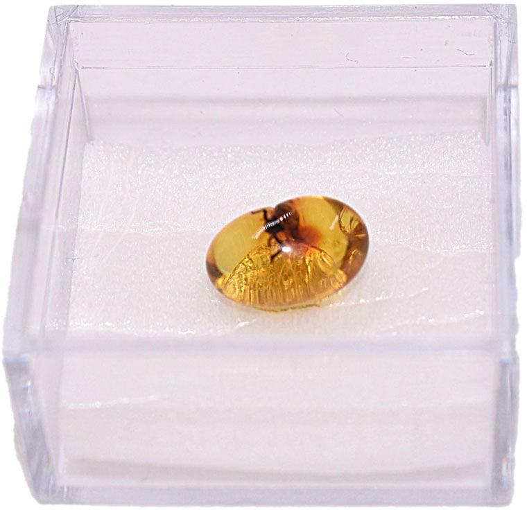 Dekofigur FIRETTI "Schmuck Geschenk Farbstein Edelstein Bernstein mit Insekt, Lupe", braun (kristallweiß, braun), Dekofiguren, B/H/T: 2,5cm x 2,5cm x