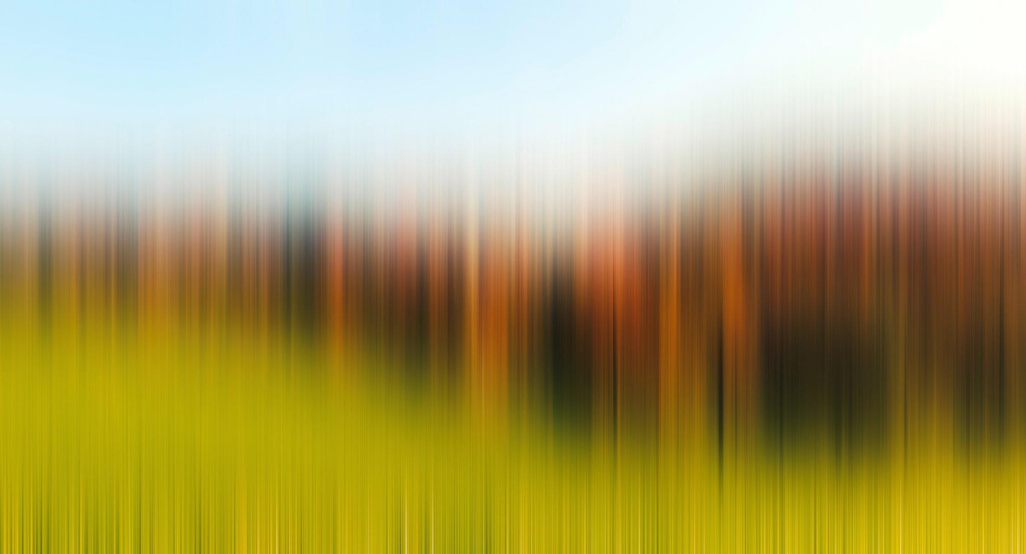 Fototapete ARCHITECTS PAPER "Atelier 47 Diffused Tree Row 2", bunt (hellblau, hellgrün), B:5m L:2,7m, Vlies, Tapeten, Vlies, Wand, Schräge, Decke