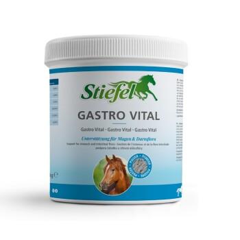 Stiefel Gastro Vital 1 kg