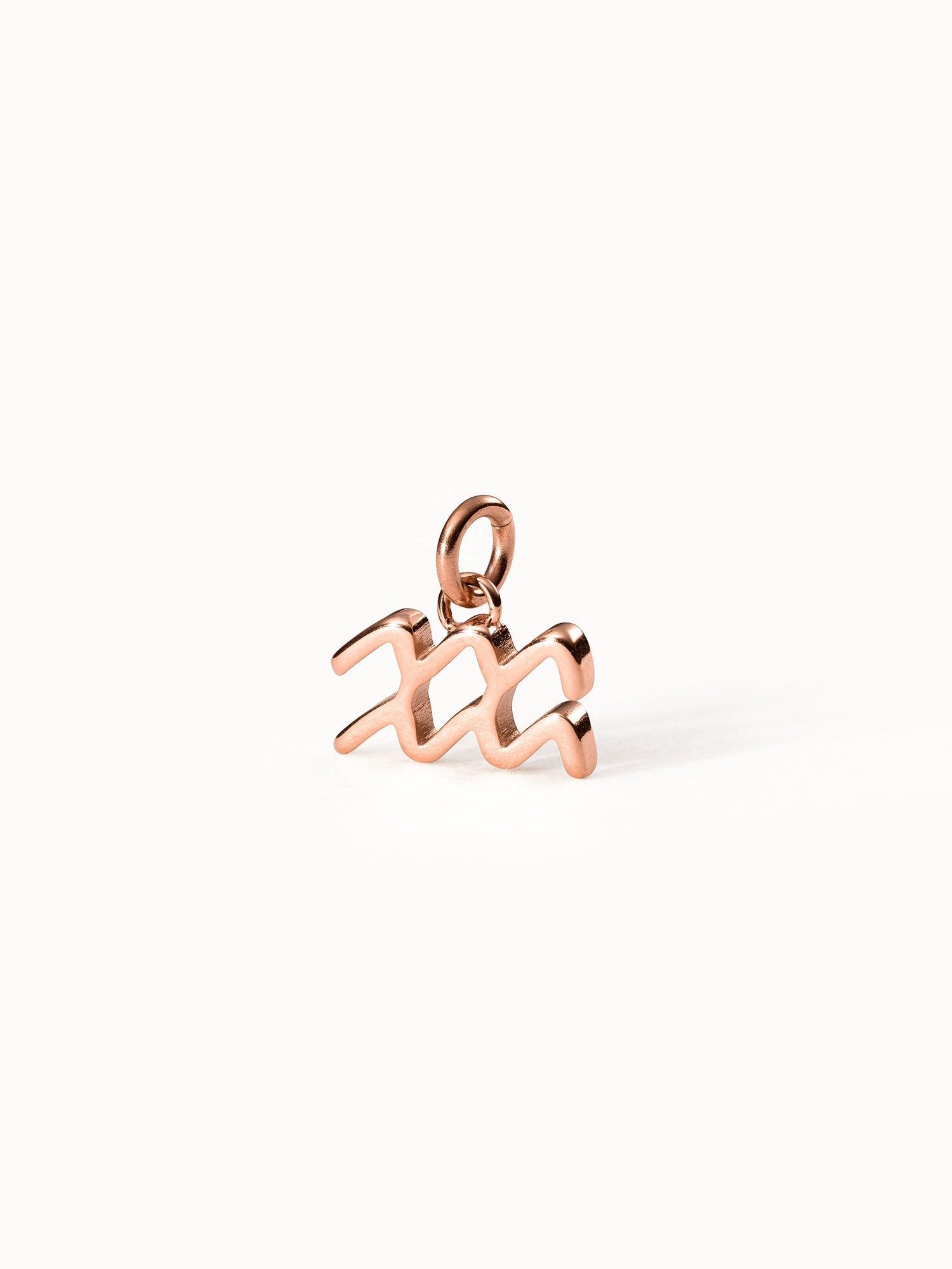 PURELEI Wassermann Zodiac Charm