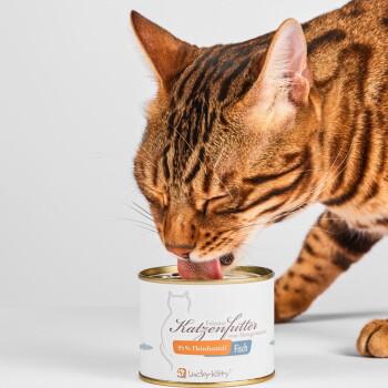 Lucky-Kitty Katzenfutter Fisch 15x200 g